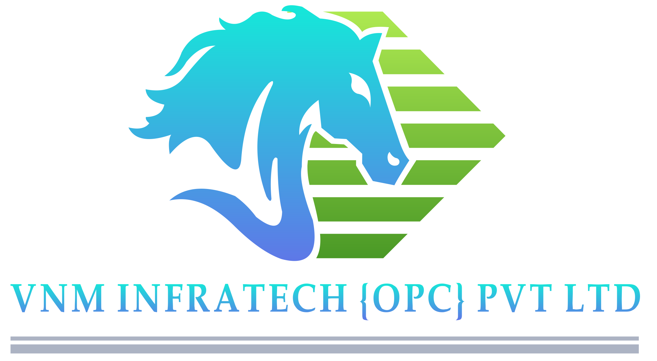 VNM Infratech OPC Pvt. Ltd